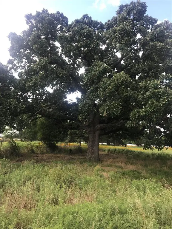 0000 TBD I 20 Frontage, Wills Point, TX 75169