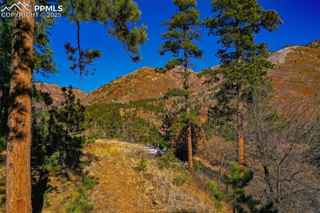 5330 Chipita Pines DR, Cascade, CO 80809