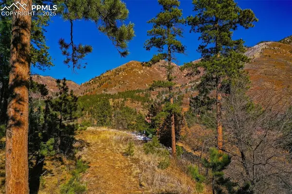 5330 Chipita Pines DR, Cascade, CO 80809