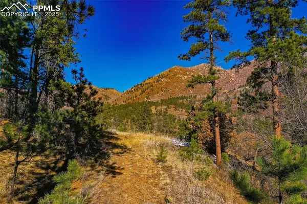 5330 Chipita Pines DR, Cascade, CO 80809