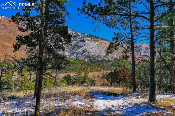 5330 Chipita Pines DR, Cascade, CO 80809