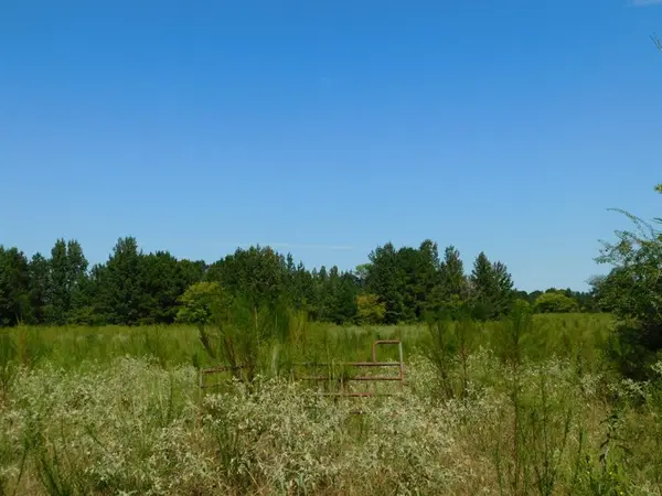 0 Cox Road, Sarepta, LA 71071