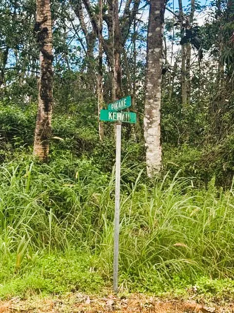 PIKAKE RD, Pahoa, HI 96778