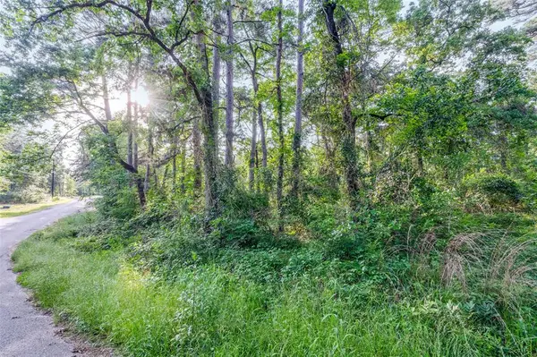 7631 Forest Hill Drive, Frankston, TX 75763