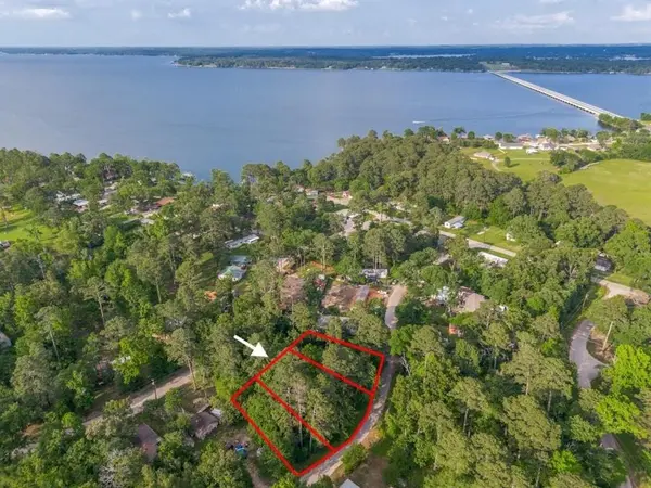 0 Forest Hill. Drive, Frankston, TX 75763