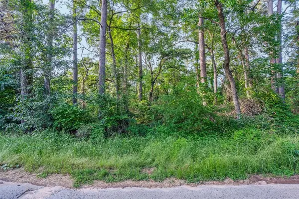 0 Forest Hill. Drive, Frankston, TX 75763