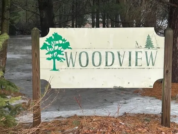 00 Manning LN, Baldwin Twp, MI 48730