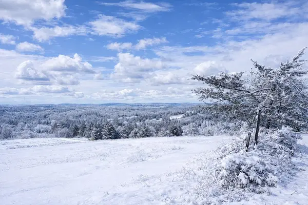 4836 45 HWY, Hamilton Township, ON K7G 2V6