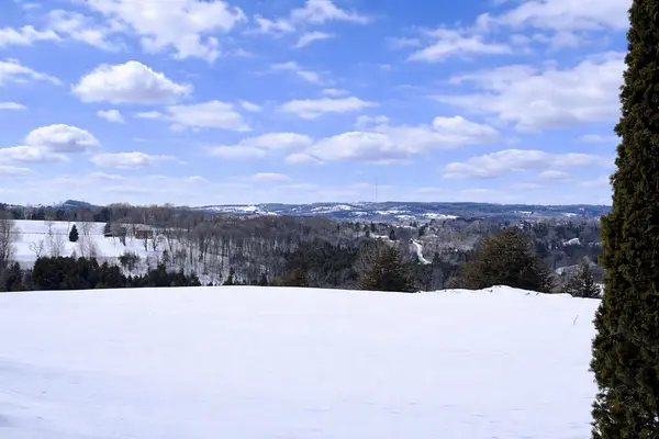 4836 45 HWY, Hamilton Township, ON K7G 2V6