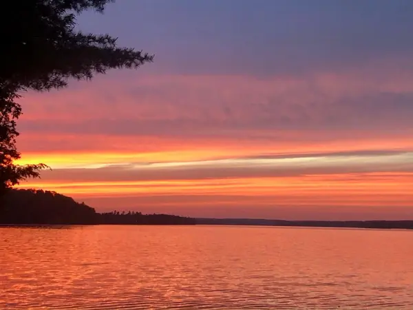 551 Renwick RD, North Kawartha, ON K0L 1A0