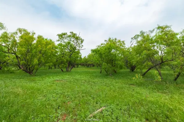 TBD FM 3116, Anson, TX 79501