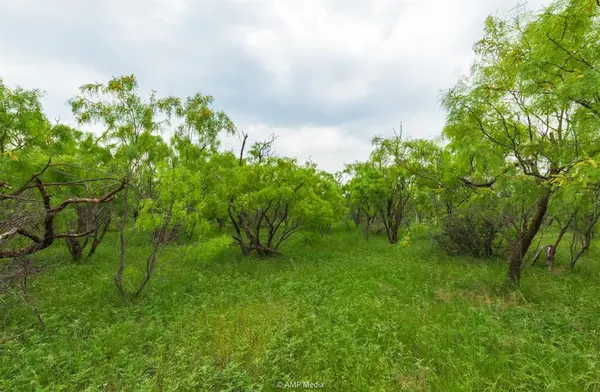 TBD FM 3116, Anson, TX 79501