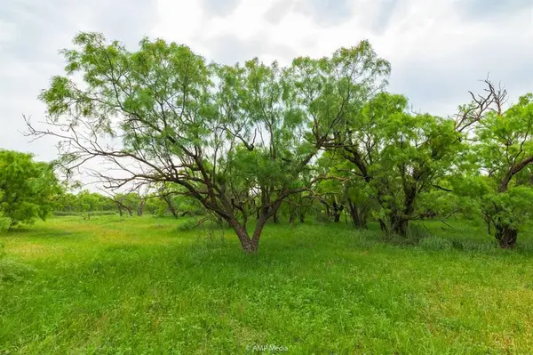 TBD FM 3116, Anson, TX 79501