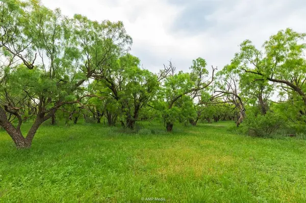 TBD FM 3116, Anson, TX 79501