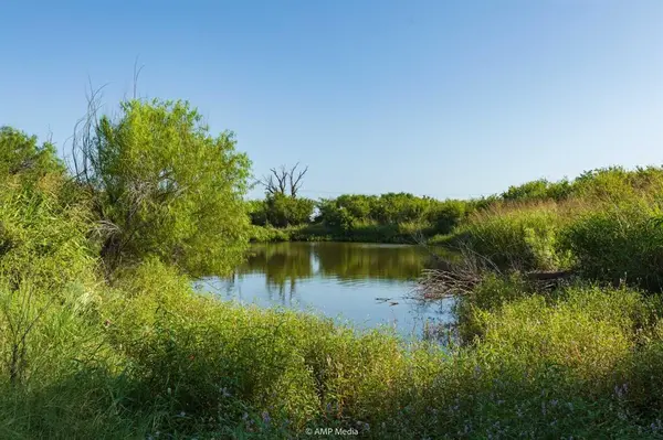 2046 FM 126 S, Hamlin, TX 79520