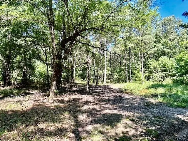 75 Acres Highway 37, Clarksville, TX 75426