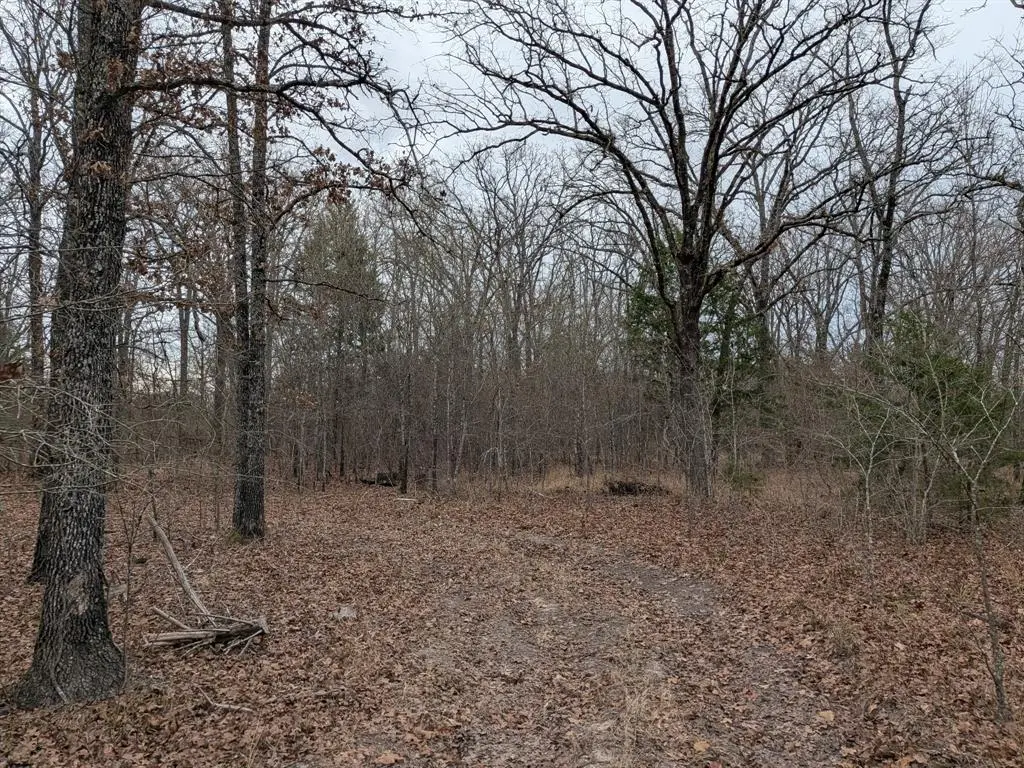 179 RS County Road 2572, Alba, TX 75410