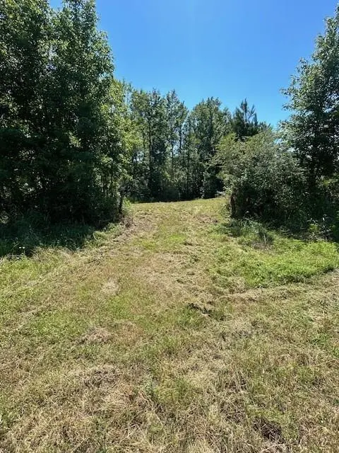 75 Acres Highway 37, Clarksville, TX 75426