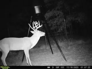 75 Acres Highway 37, Clarksville, TX 75426