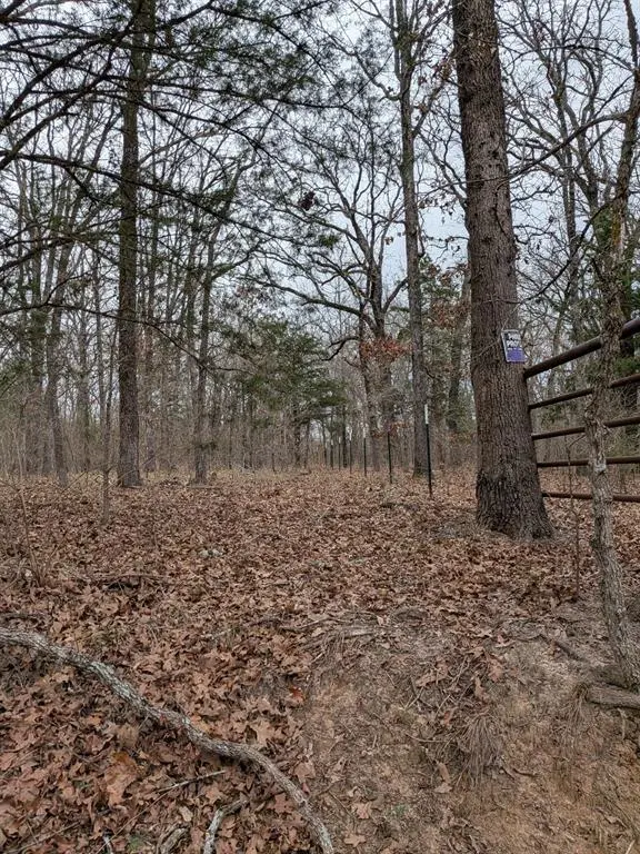 179 RS County Road 2572, Alba, TX 75410