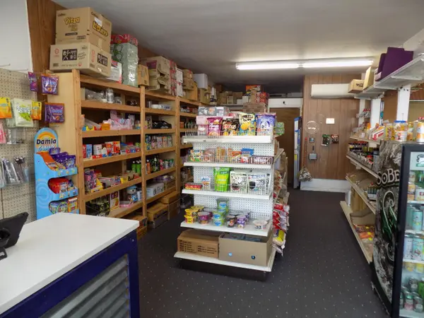 114 E Ferry ST, Berrien Springs Vllg, MI 49103