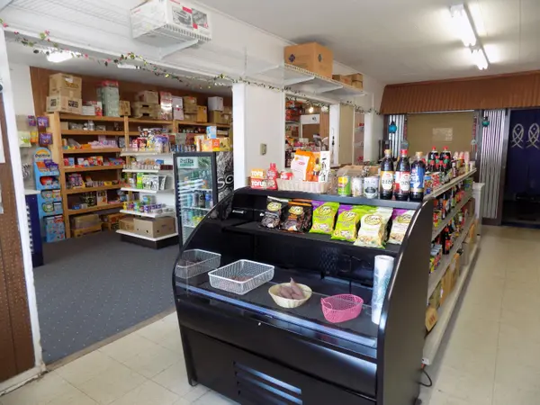 114 E Ferry ST, Berrien Springs Vllg, MI 49103