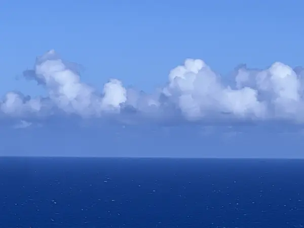 39-3296 OLD MAMALAHOA HWY, Ookala, HI 96774