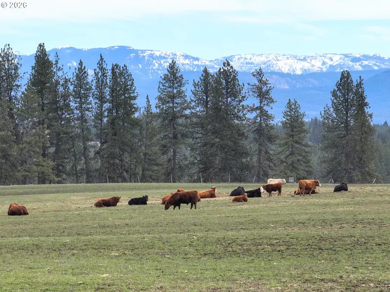 0 Yarrington RD, Elgin, OR 97827