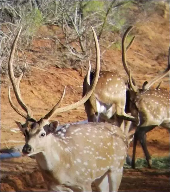 2367 County Road 311, Gouldbusk, TX 76845