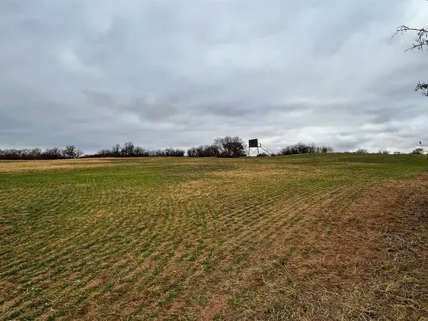 3599 County Road 413, Anson, TX 79501