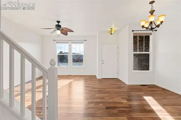 1243 Timber Run HTS, Monument, CO 80132