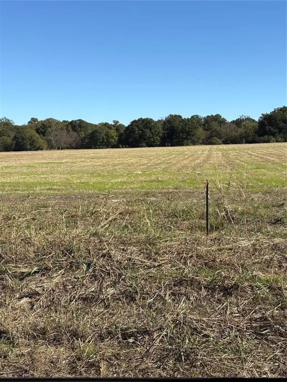 Lot 3 County Rd 2130, Telephone, TX 75488