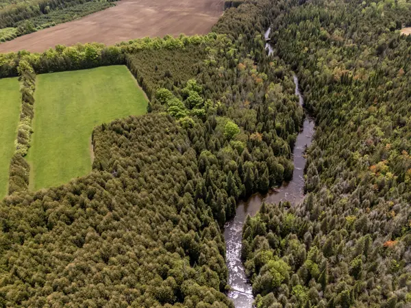 525197 Artemesia-Euphrasia Townline, Grey Highlands, ON N0C 1H0