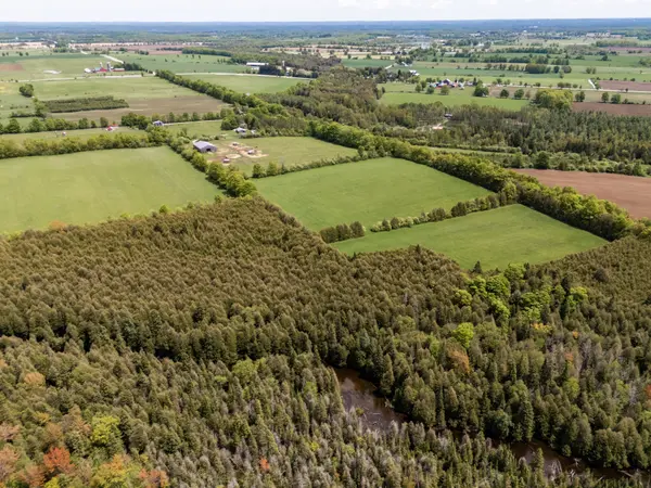 525197 Artemesia-Euphrasia Townline, Grey Highlands, ON N0C 1H0