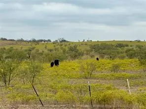 TBD Fm 2164, Sanger, TX 76266