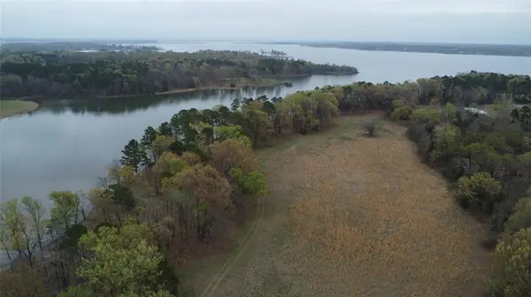 2039 C.R. 2850, Pittsburg, TX 75686