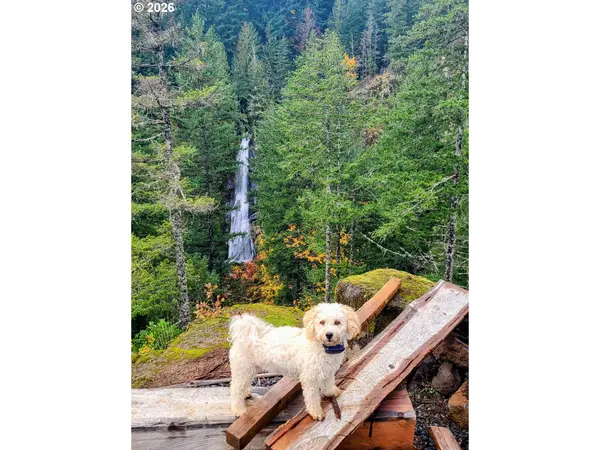 Boulder Ridge, Carson, WA 98610