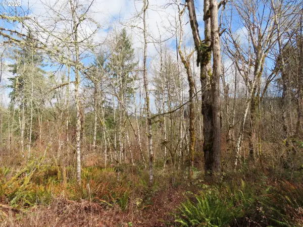 125 OPPELT RD, Chehalis, WA 98532