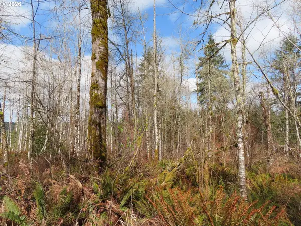 125 OPPELT RD, Chehalis, WA 98532