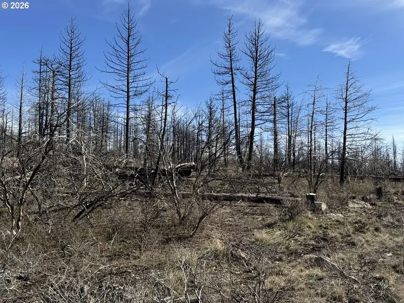 Hummingbird DR #1, Bonanza, OR 97623