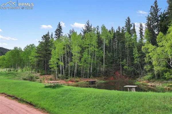 584 Sourdough RD, Woodland Park, CO 80863