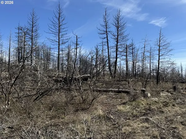 Hummingbird DR #1, Bonanza, OR 97623