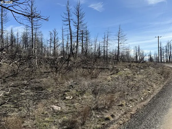 Hummingbird DR #1, Bonanza, OR 97623