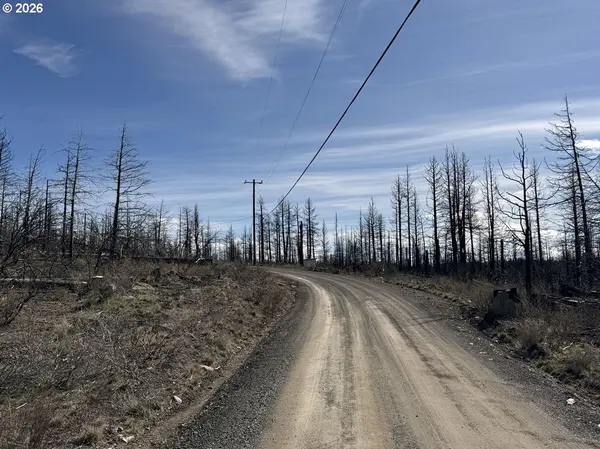 Hummingbird DR #1, Bonanza, OR 97623