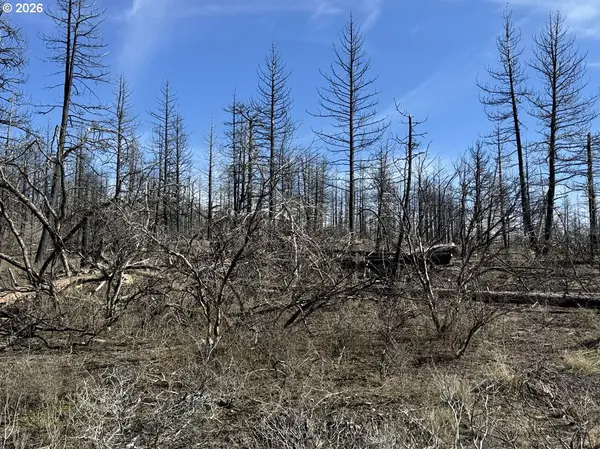 Hummingbird DR #1, Bonanza, OR 97623