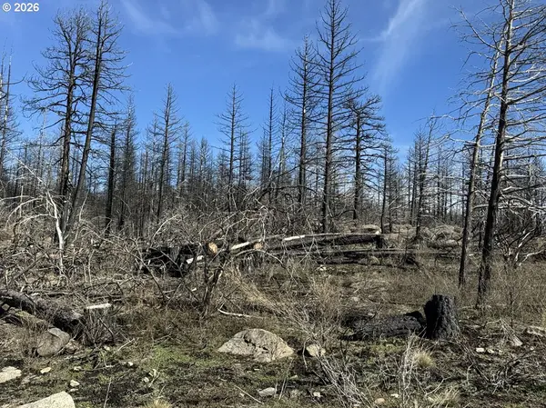 Hummingbird DR #1, Bonanza, OR 97623