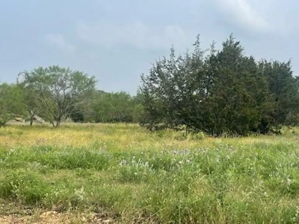 Lot 175 Heartleaf Drive, Lampasas, TX 76550
