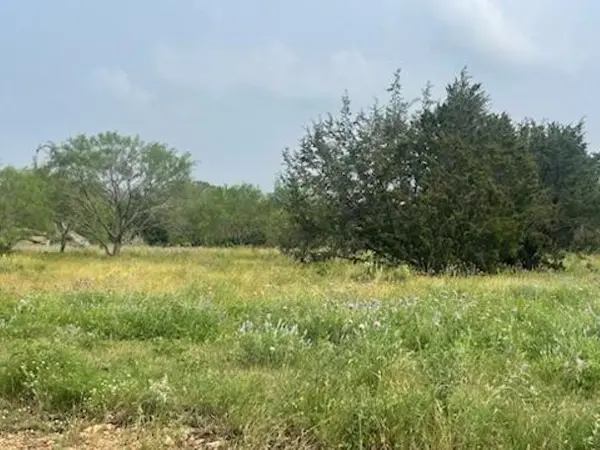Lot 175 Heartleaf Drive, Lampasas, TX 76550