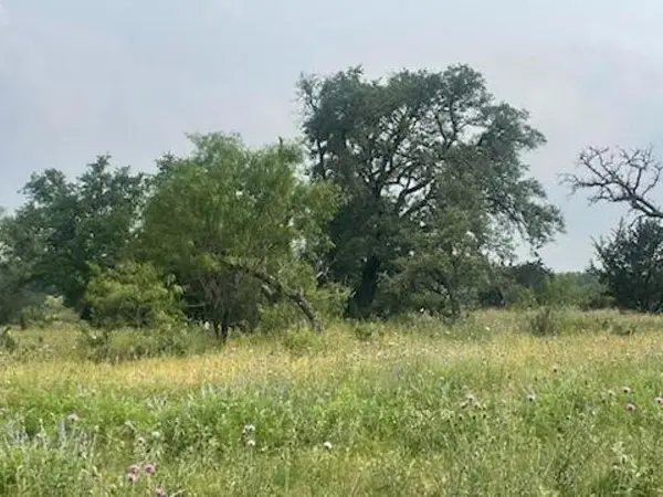Lot 175 Heartleaf Drive, Lampasas, TX 76550