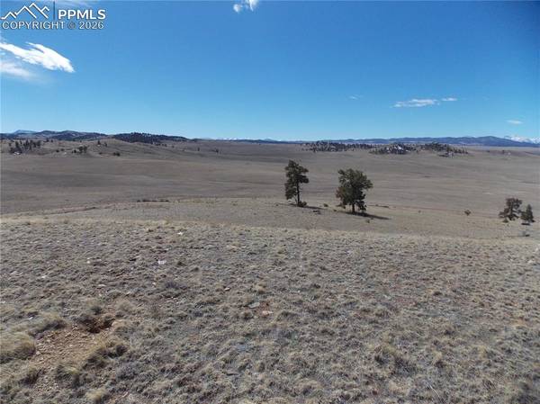 Lot 5795 Guipago TRL, Hartsel, CO 80449